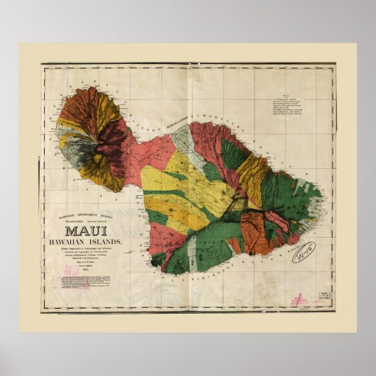 Kaart van Maui, Hawaiian Island (1885) Poster (Voorkant)