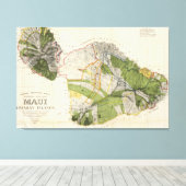  kaart van Maui Island (1906) Canvas Afdruk (Insitu (Houten vloer))