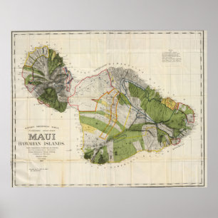  kaart van Maui Island (1906) Poster