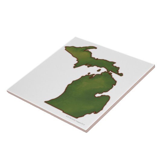 Kaart van Michigan 4 Tegeltje (Zijkant)