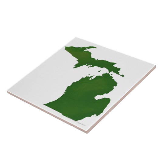 Kaart van Michigan Tegeltje (Zijkant)