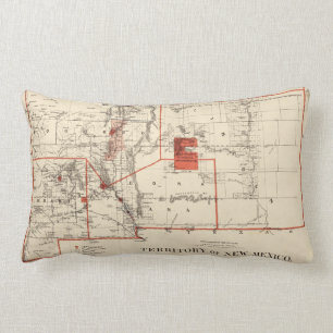  kaart van New Mexico (1882) Kussen