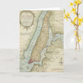  kaart van New York (1869) (Gele Bloem)