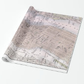  kaart van New York (1884) Cadeaupapier (Uitgerold)