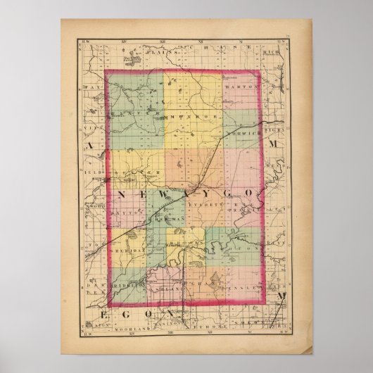 Kaart van Newaygo County, Michigan Poster (Voorkant)