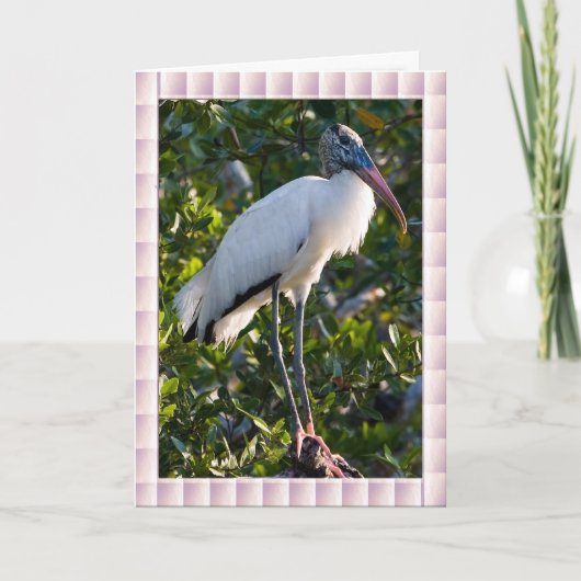 Kaart van ooievaar (Voorkant)