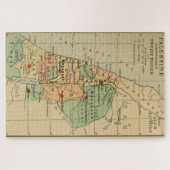 Kaart van Palestina Verdeeld door de 12 stammen ui Legpuzzel (Horizontaal)