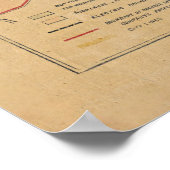  kaart van Roanoke VA (1890) Poster (Hoek)