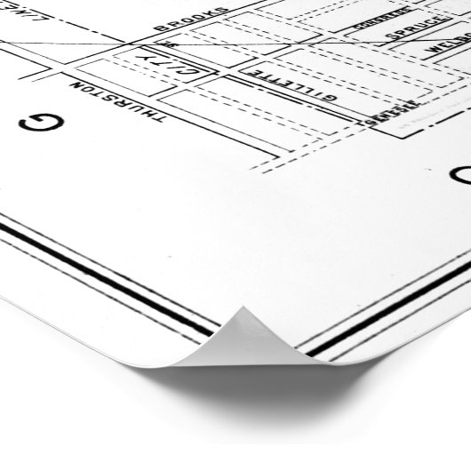  kaart van Rochester NY (1901) BW Poster (Hoek)