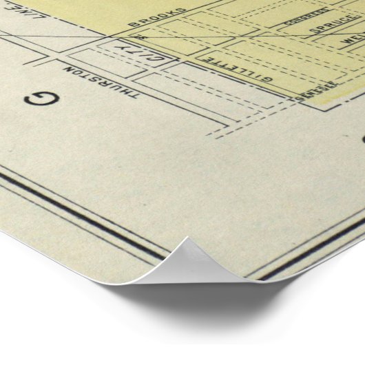  kaart van Rochester NY (1901) Poster (Hoek)