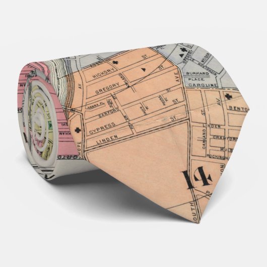  kaart van Rochester NY (1901) Stropdas (Opgerold)