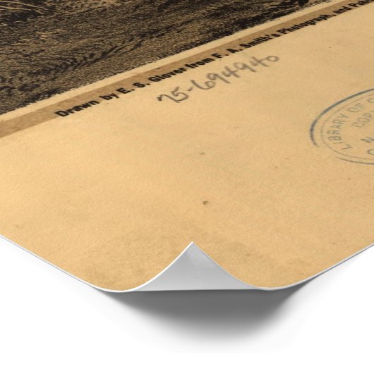  kaart van Salem Oregon (1876) Poster (Hoek)