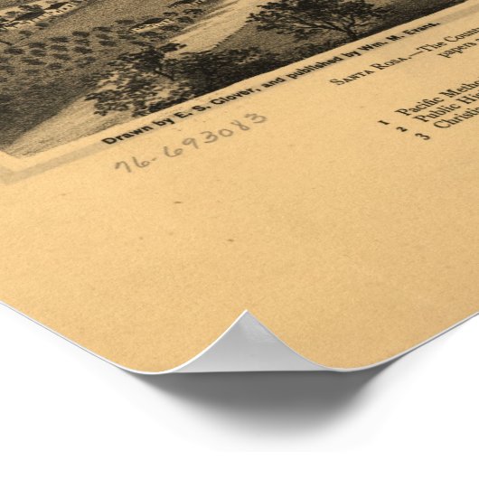 Kaart van Santa Rosa, Uitzicht van vogelsoorten-Oo Poster (Hoek)