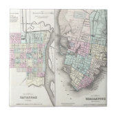  kaart van Savannah en Charleston (1855) Tegeltje (Voorkant)