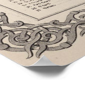  kaart van Savannah GA en Charleston SC 1886 Poster (Hoek)