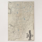  kaart van Somerville MA (1910) Legpuzzel (Verticaal)