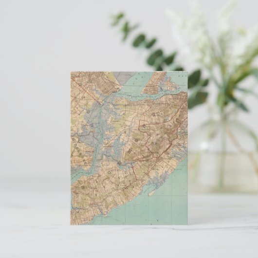  kaart van Staten Island (1891) (Staand voorkant)