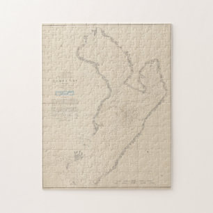  kaart van Tampa Bay FL (1855) Legpuzzel