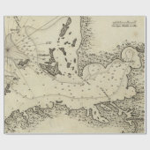  kaart van Tampa Florida (1809) Cadeaupapier (Vlak)