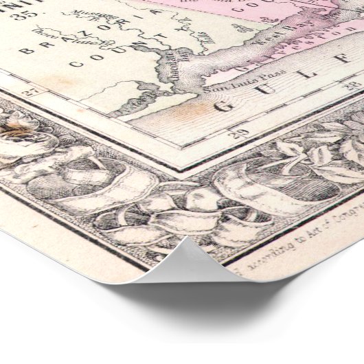  kaart van Texas, 1864 Poster (Hoek)