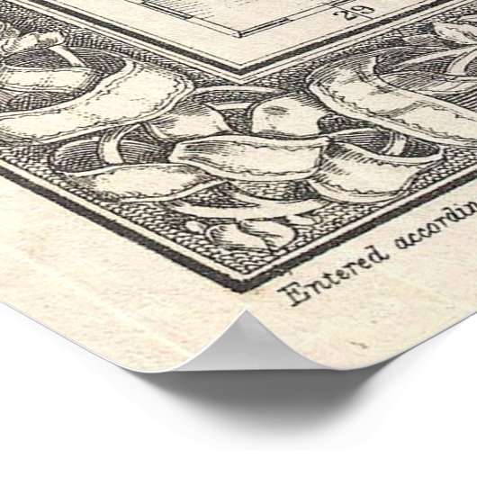 kaart van Texas (1866) Poster (Hoek)