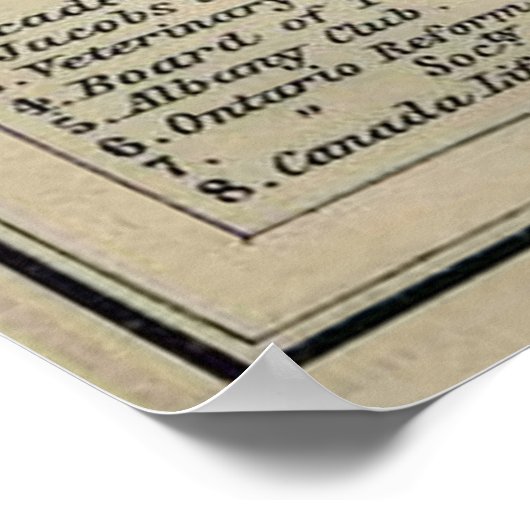  kaart van Toronto (1894) Poster (Hoek)