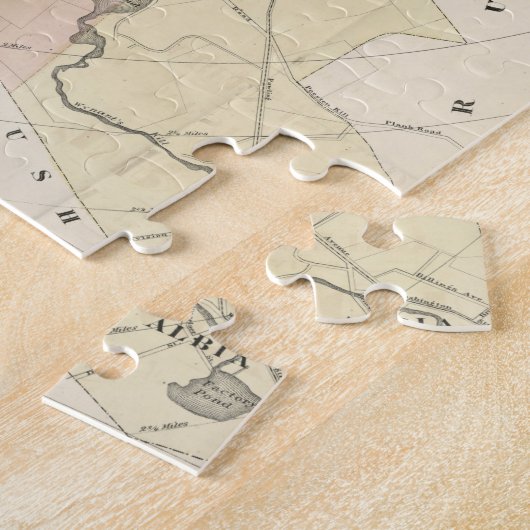  kaart van Troy NY (1874) Legpuzzel (Zijkant)