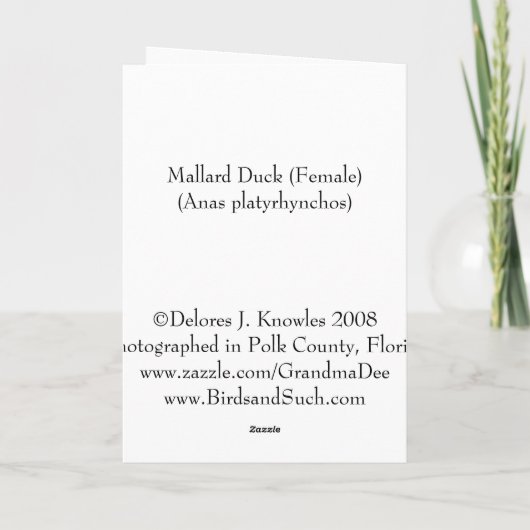 Kaart van Valentijn van het Hart van de eend de (Achterkant)