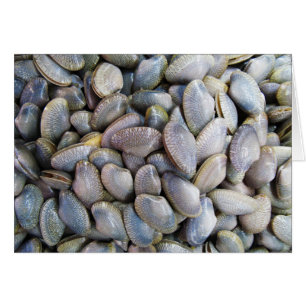 Kaart van Venus Clam [ห อ ล า ย ย)