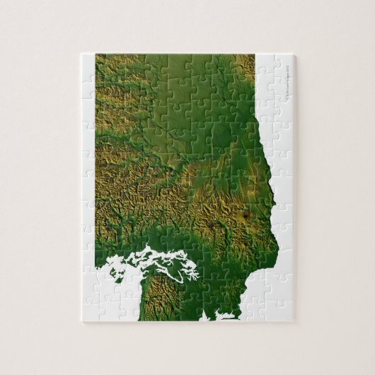 Kaart van Washington 3 Legpuzzel (Verticaal)