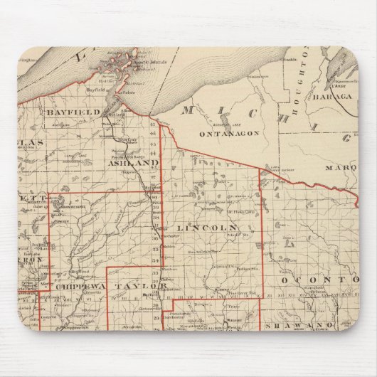 Kaart van Wisconsin, die assemblagedistricten tone Muismat (Voorkant)