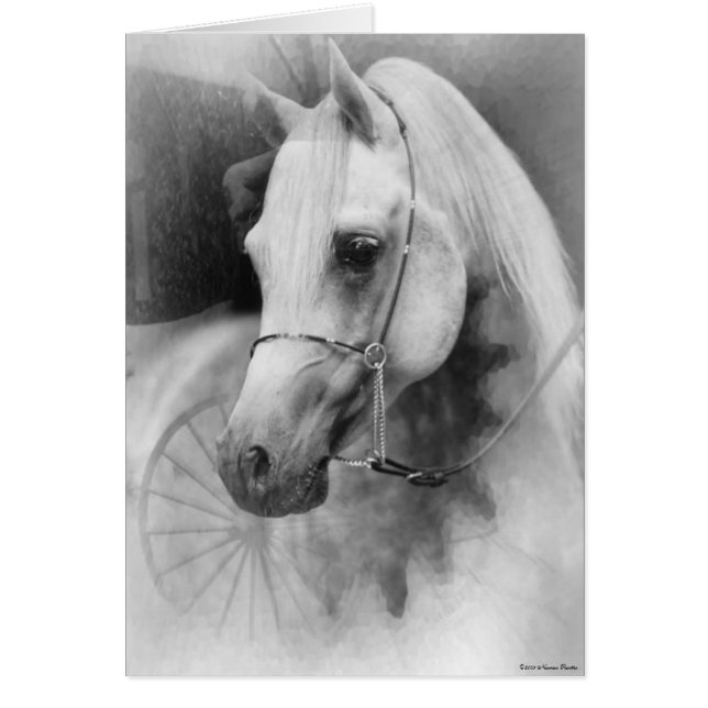 Kaart van witte paarden (Voorkant)