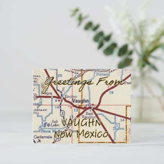 kaart Vaughn NM (Staand voorkant)