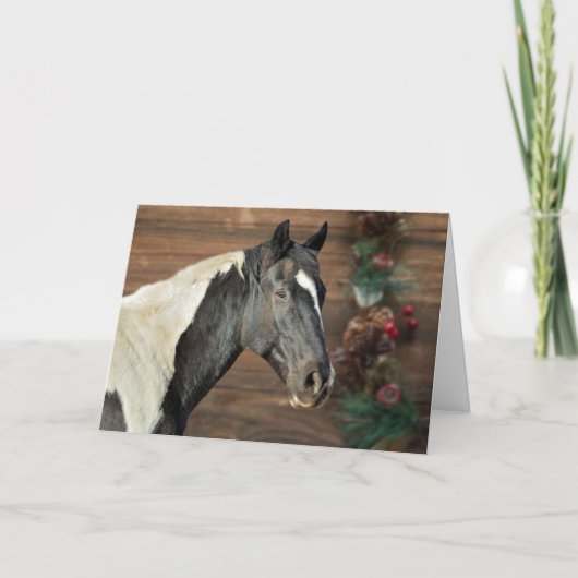 Kaart Verfaards verfpaarden (Voorkant)