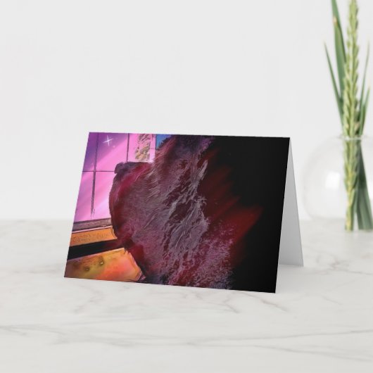 Kaart ~ Verlies van huisdieren ~ (Voorkant)