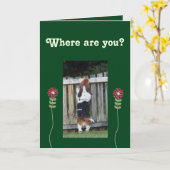 Kaart "Vermiste u" met Basset die over hek kijkt (Gele Bloem)