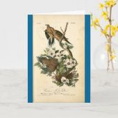 Kaart - Vintage schildpadden - Fijne verjaardag (Gele Bloem)