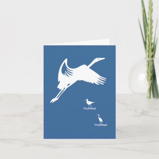 Kaart - Vogelvliegtuig in vlucht (Voorkant)