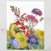 Kaart voor advies over wilde Baby showers (Achterkant)