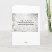 Kaart voor Afstuderen-scripts (Achterkant)