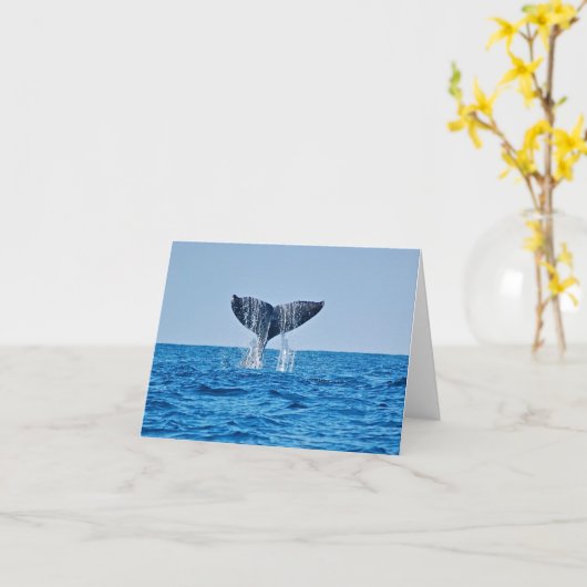 Kaart voor blanco vinvis (Gele Bloem)