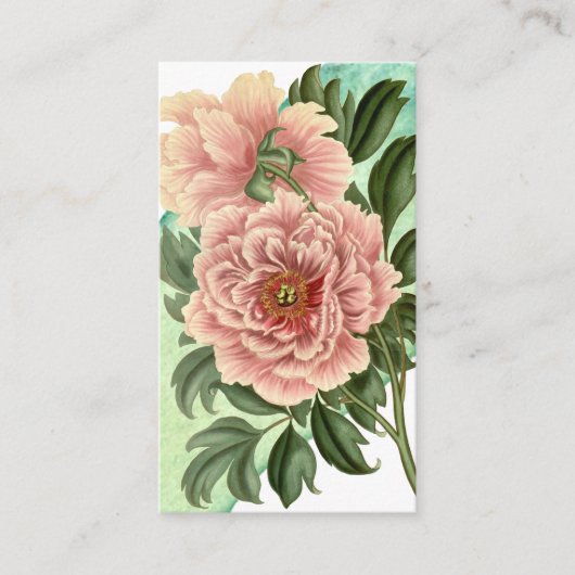 Kaart voor botanisch schrijven (Voorkant)