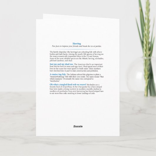 Kaart voor de verjaardag van de haring (Achterkant)