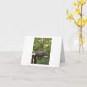 Kaart voor dieren (Gele Bloem)