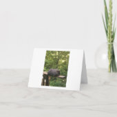 Kaart voor dieren (Voorkant)