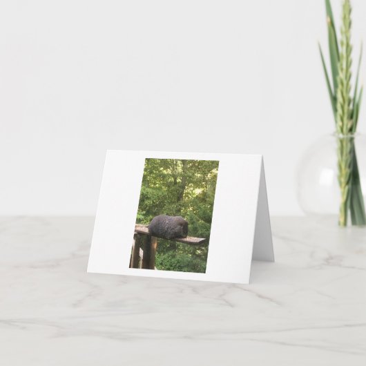 Kaart voor dieren (Voorkant)