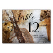 Kaart voor het Beer-weduwentafel voor industrieel  (Achterkant)