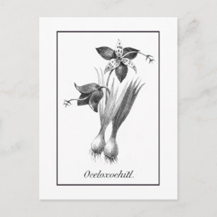  kaart voor het etsen van tijgerbloemen