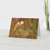 Kaart voor het uitzenden van Wilde-bloempitten (Voorkant)