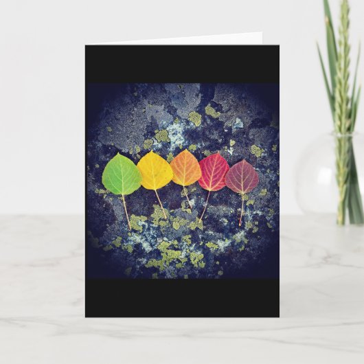 Kaart voor iedereen en elk seizoen (Voorkant)